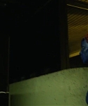 Filename=X_Men_Days_of_Future_Past_2014_286529.jpg
Filesize=112KiB
Dimensions=1280x534
Date added=Mar 14, 2015 X_Men_Days_of_Future_Past_2014_286529.jpg