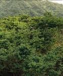 Filename=cf-finaltrailer-0006.jpg
Filesize=190KiB
Dimensions=1920x800
Date added=Mar 06, 2014 cf-finaltrailer-0006.jpg
