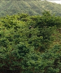 Filename=cf-finaltrailer-0007.jpg
Filesize=198KiB
Dimensions=1920x800
Date added=Mar 06, 2014 cf-finaltrailer-0007.jpg