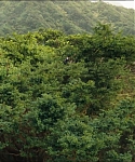 Filename=cf-finaltrailer-0008.jpg
Filesize=191KiB
Dimensions=1920x800
Date added=Mar 06, 2014 cf-finaltrailer-0008.jpg