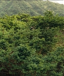 Filename=cf-finaltrailer-0009.jpg
Filesize=190KiB
Dimensions=1920x800
Date added=Mar 06, 2014 cf-finaltrailer-0009.jpg