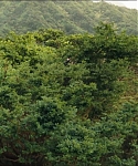 Filename=cf-finaltrailer-0010.jpg
Filesize=190KiB
Dimensions=1920x800
Date added=Mar 06, 2014 cf-finaltrailer-0010.jpg