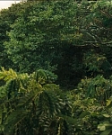 Filename=cf-finaltrailer-0011.jpg
Filesize=195KiB
Dimensions=1920x800
Date added=Mar 06, 2014 cf-finaltrailer-0011.jpg