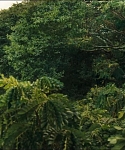 Filename=cf-finaltrailer-0012.jpg
Filesize=185KiB
Dimensions=1920x800
Date added=Mar 06, 2014 cf-finaltrailer-0012.jpg
