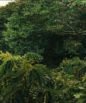 Filename=cf-finaltrailer-0013.jpg
Filesize=183KiB
Dimensions=1920x800
Date added=Mar 06, 2014 cf-finaltrailer-0013.jpg