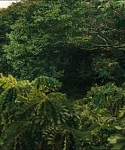 Filename=cf-finaltrailer-0014.jpg
Filesize=188KiB
Dimensions=1920x800
Date added=Mar 06, 2014 cf-finaltrailer-0014.jpg