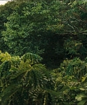 Filename=cf-finaltrailer-0015.jpg
Filesize=180KiB
Dimensions=1920x800
Date added=Mar 06, 2014 cf-finaltrailer-0015.jpg