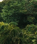 Filename=cf-finaltrailer-0016.jpg
Filesize=180KiB
Dimensions=1920x800
Date added=Mar 06, 2014 cf-finaltrailer-0016.jpg