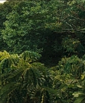 Filename=cf-finaltrailer-0017.jpg
Filesize=186KiB
Dimensions=1920x800
Date added=Mar 06, 2014 cf-finaltrailer-0017.jpg