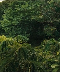 Filename=cf-finaltrailer-0018.jpg
Filesize=180KiB
Dimensions=1920x800
Date added=Mar 06, 2014 cf-finaltrailer-0018.jpg