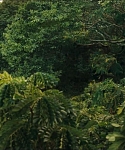 Filename=cf-finaltrailer-0020.jpg
Filesize=184KiB
Dimensions=1920x800
Date added=Mar 06, 2014 cf-finaltrailer-0020.jpg