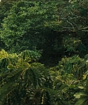 Filename=cf-finaltrailer-0021.jpg
Filesize=177KiB
Dimensions=1920x800
Date added=Mar 06, 2014 cf-finaltrailer-0021.jpg