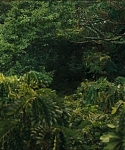 Filename=cf-finaltrailer-0022.jpg
Filesize=183KiB
Dimensions=1920x800
Date added=Mar 06, 2014 cf-finaltrailer-0022.jpg