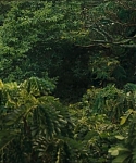 Filename=cf-finaltrailer-0023.jpg
Filesize=177KiB
Dimensions=1920x800
Date added=Mar 06, 2014 cf-finaltrailer-0023.jpg