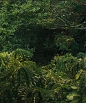 Filename=cf-finaltrailer-0028.jpg
Filesize=180KiB
Dimensions=1920x800
Date added=Mar 06, 2014 cf-finaltrailer-0028.jpg