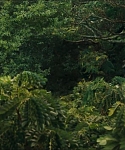 Filename=cf-finaltrailer-0030.jpg
Filesize=172KiB
Dimensions=1920x800
Date added=Mar 06, 2014 cf-finaltrailer-0030.jpg