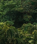 Filename=cf-finaltrailer-0031.jpg
Filesize=176KiB
Dimensions=1920x800
Date added=Mar 06, 2014 cf-finaltrailer-0031.jpg