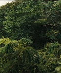 Filename=cf-finaltrailer-0101.jpg
Filesize=173KiB
Dimensions=1920x800
Date added=Mar 06, 2014 cf-finaltrailer-0101.jpg