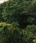 Filename=cf-finaltrailer-0102.jpg
Filesize=181KiB
Dimensions=1920x800
Date added=Mar 06, 2014 cf-finaltrailer-0102.jpg