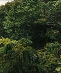 Filename=cf-finaltrailer-0103.jpg
Filesize=176KiB
Dimensions=1920x800
Date added=Mar 06, 2014 cf-finaltrailer-0103.jpg