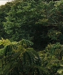 Filename=cf-finaltrailer-0104.jpg
Filesize=175KiB
Dimensions=1920x800
Date added=Mar 06, 2014 cf-finaltrailer-0104.jpg