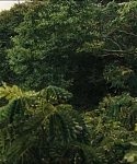 Filename=cf-finaltrailer-0105.jpg
Filesize=180KiB
Dimensions=1920x800
Date added=Mar 06, 2014 cf-finaltrailer-0105.jpg