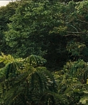 Filename=cf-finaltrailer-0106.jpg
Filesize=176KiB
Dimensions=1920x800
Date added=Mar 06, 2014 cf-finaltrailer-0106.jpg