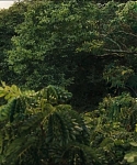 Filename=cf-finaltrailer-0108.jpg
Filesize=180KiB
Dimensions=1920x800
Date added=Mar 06, 2014 cf-finaltrailer-0108.jpg