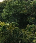 Filename=cf-finaltrailer-0110.jpg
Filesize=173KiB
Dimensions=1920x800
Date added=Mar 06, 2014 cf-finaltrailer-0110.jpg