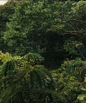 Filename=cf-finaltrailer-0111.jpg
Filesize=179KiB
Dimensions=1920x800
Date added=Mar 06, 2014 cf-finaltrailer-0111.jpg