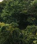 Filename=cf-finaltrailer-0112.jpg
Filesize=173KiB
Dimensions=1920x800
Date added=Mar 06, 2014 cf-finaltrailer-0112.jpg