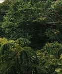 Filename=cf-finaltrailer-0113.jpg
Filesize=173KiB
Dimensions=1920x800
Date added=Mar 06, 2014 cf-finaltrailer-0113.jpg