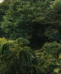 Filename=cf-finaltrailer-0114.jpg
Filesize=179KiB
Dimensions=1920x800
Date added=Mar 06, 2014 cf-finaltrailer-0114.jpg