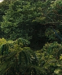 Filename=cf-finaltrailer-0115.jpg
Filesize=173KiB
Dimensions=1920x800
Date added=Mar 06, 2014 cf-finaltrailer-0115.jpg