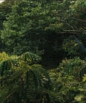 Filename=cf-finaltrailer-0116.jpg
Filesize=171KiB
Dimensions=1920x800
Date added=Mar 06, 2014 cf-finaltrailer-0116.jpg