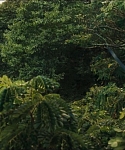 Filename=cf-finaltrailer-0117.jpg
Filesize=177KiB
Dimensions=1920x800
Date added=Mar 06, 2014 cf-finaltrailer-0117.jpg