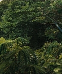 Filename=cf-finaltrailer-0118.jpg
Filesize=171KiB
Dimensions=1920x800
Date added=Mar 06, 2014 cf-finaltrailer-0118.jpg