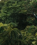 Filename=cf-finaltrailer-0119.jpg
Filesize=171KiB
Dimensions=1920x800
Date added=Mar 06, 2014 cf-finaltrailer-0119.jpg