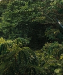 Filename=cf-finaltrailer-0120.jpg
Filesize=176KiB
Dimensions=1920x800
Date added=Mar 06, 2014 cf-finaltrailer-0120.jpg