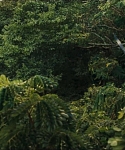 Filename=cf-finaltrailer-0121.jpg
Filesize=171KiB
Dimensions=1920x800
Date added=Mar 06, 2014 cf-finaltrailer-0121.jpg