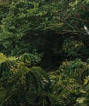 Filename=cf-finaltrailer-0122.jpg
Filesize=170KiB
Dimensions=1920x800
Date added=Mar 06, 2014 cf-finaltrailer-0122.jpg
