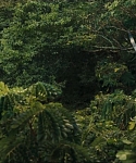 Filename=cf-finaltrailer-0123.jpg
Filesize=175KiB
Dimensions=1920x800
Date added=Mar 06, 2014 cf-finaltrailer-0123.jpg