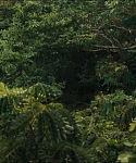 Filename=cf-finaltrailer-0126.jpg
Filesize=173KiB
Dimensions=1920x800
Date added=Mar 06, 2014 cf-finaltrailer-0126.jpg