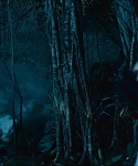 cf-finaltrailer-0402.jpg