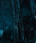 cf-finaltrailer-0403.jpg