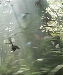 cf-finaltrailer-0435.jpg