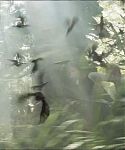 cf-finaltrailer-0436.jpg