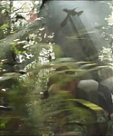 cf-finaltrailer-0440.jpg