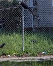 Filename=45.jpg
Filesize=673KiB
Dimensions=1000x667
Date added=Jun 07, 2021 45.jpg