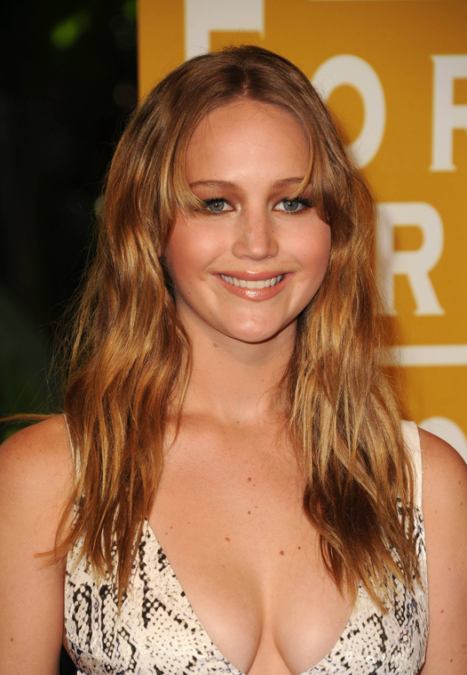 September_8_-_The_Hollywood_Foreign_Press_Association_Annual_Installation_Luncheon_in_L_282529.jpg